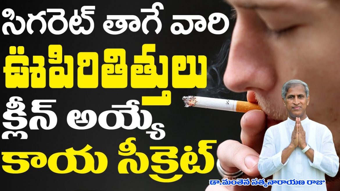 NO SMOKING 2024 | సిగరేట్ తాగే వారికి ఊపిరితిత్తులు క్లీన్ అవ్వాలి అంటే ఈ పని చేయండి.