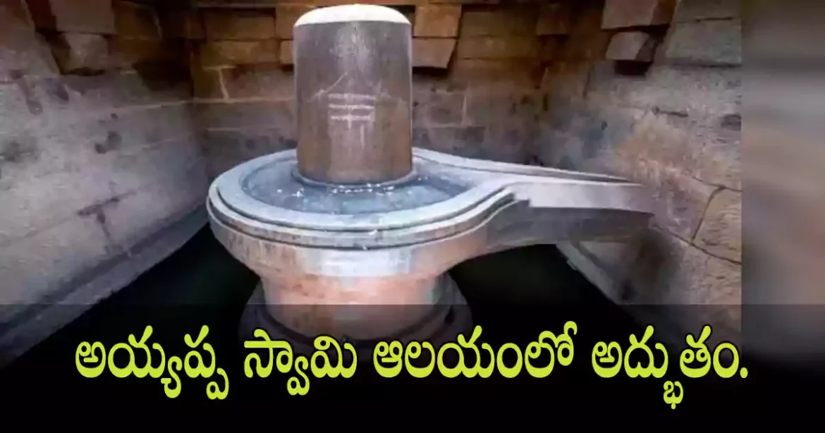 Shivalingam | సూర్యాపేట అయ్యప్ప స్వామి ఆలయంలో అద్భుతం.