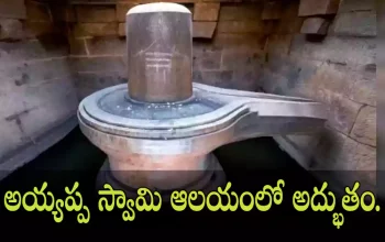 shivalingam