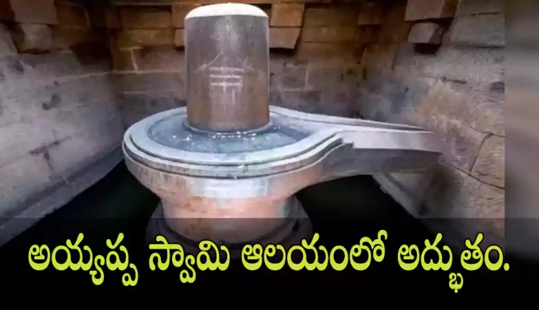 shivalingam