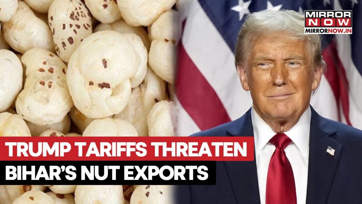 Trump’s Tariff Strike Hits Bihar’s Superfood — Why India’s Nut Industry Is Under Threat.