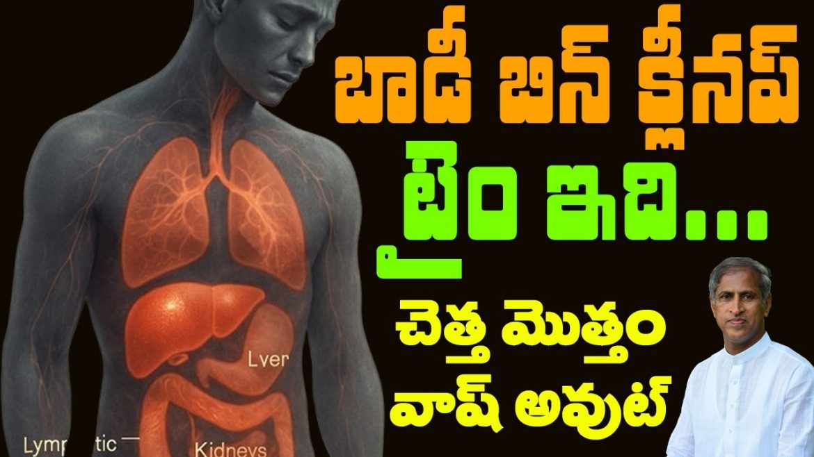 ఇంట్లో చెత్త పారేస్తున్నారు ! మరి బాడీలో చెత్త ఎలా ?
