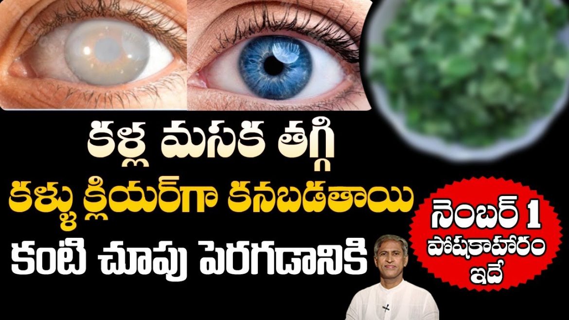 కళ్ళు మసక తగ్గి..కంటి చూపు మెరుగుపడటానికి మంచి పోషకాహారం ఇదే.