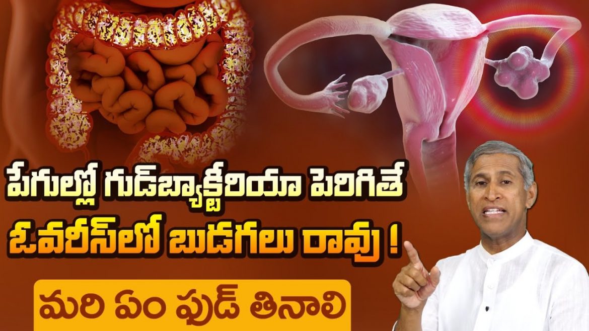 ఓవరీస్ నీటి బుడగలు తగ్గి గుడ్ బ్యాక్టీరియా పెరగాలంటే ఇలా చేయండి.