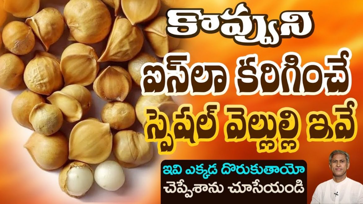 వ్వును ఐస్ లా కరిగించే స్పెషల్ వెల్లుల్లి ఇవే.