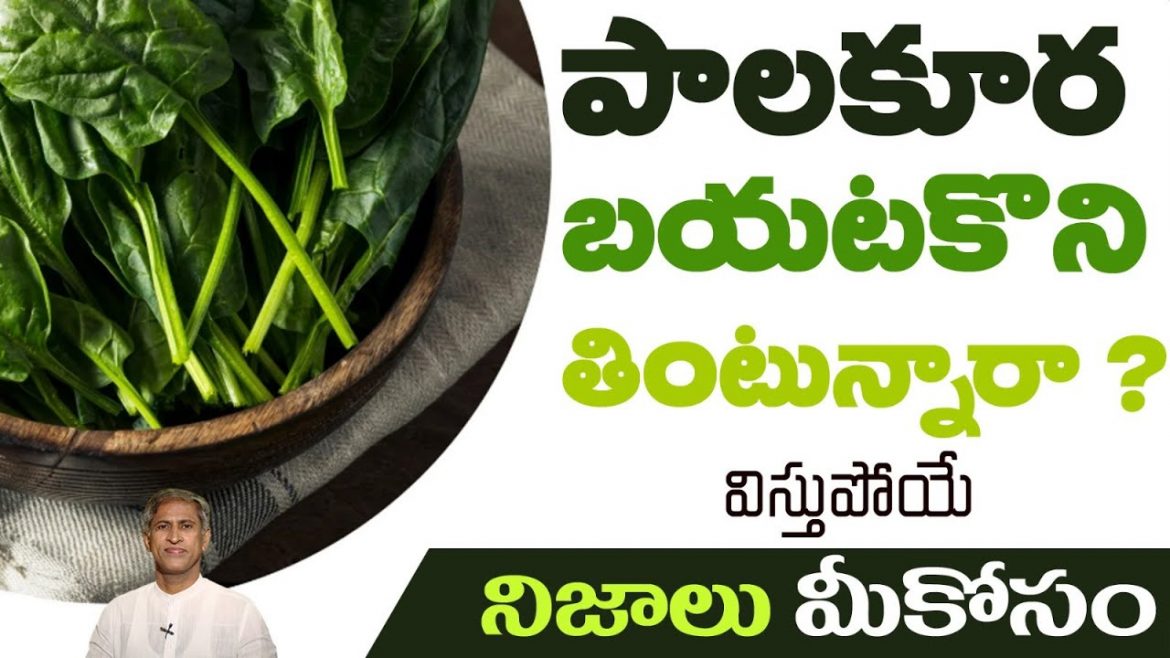 బలహీనంగా ఉన్న ఎముకలు బలంగా అవ్వాలంటే…..