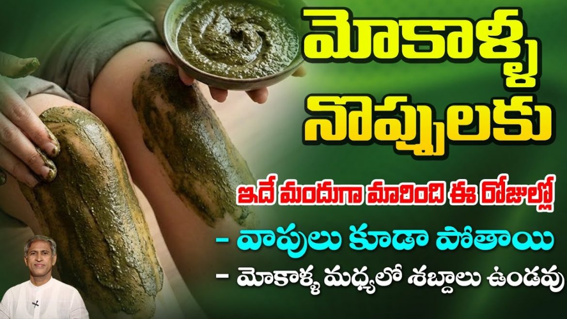 Knee Pains: క్యాబేజీ తో మోకాళ్ళ నొప్పులకు గుడ్ బై చెప్పొచ్చు.