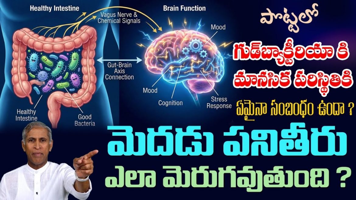 హ్యాపీ హార్మోన్స్ రిలీజ్ అయ్యి మనసు ప్రశాంతంగా ఉండాలంటే…..