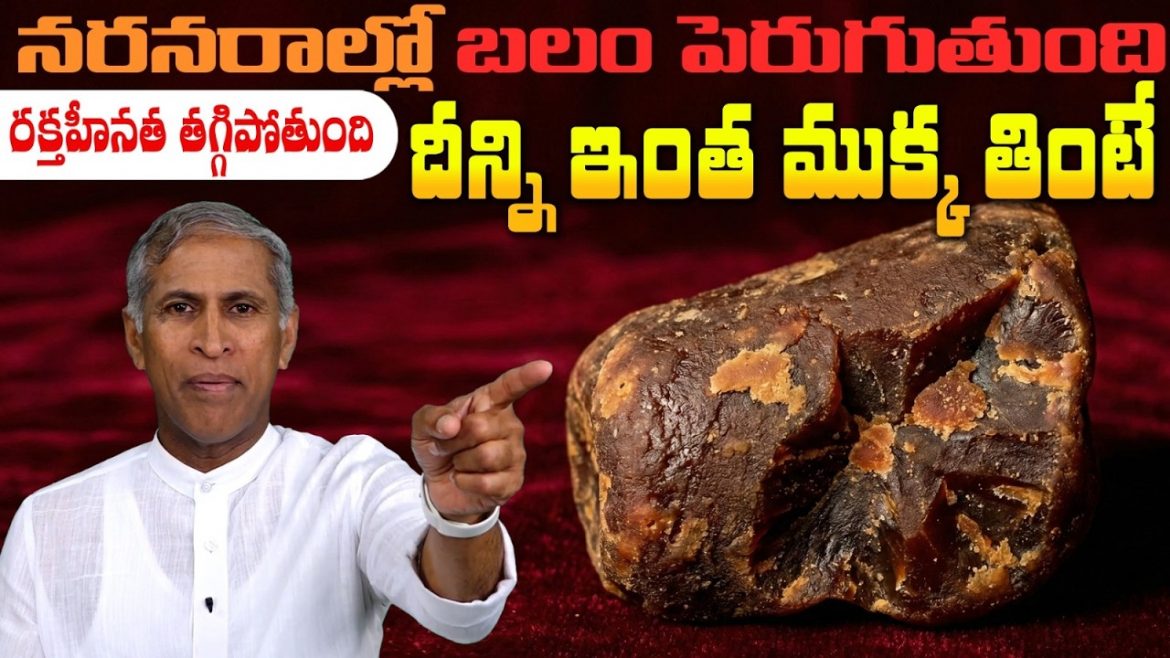 Palm Jaggery:నరాలకు బలం బాడీలో రక్తం పెరగాలంటే ఒక్క స్పూన్ ఈ పొడి వాడండి.
