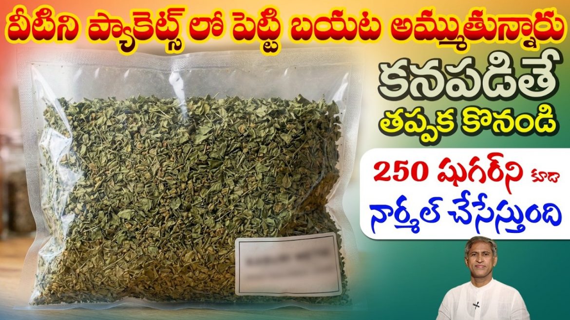 ఎండిన ఈ ఆకులను ఇలా వాడితే షుగర్ బాగా కంట్రోల్ అవుతుంది.