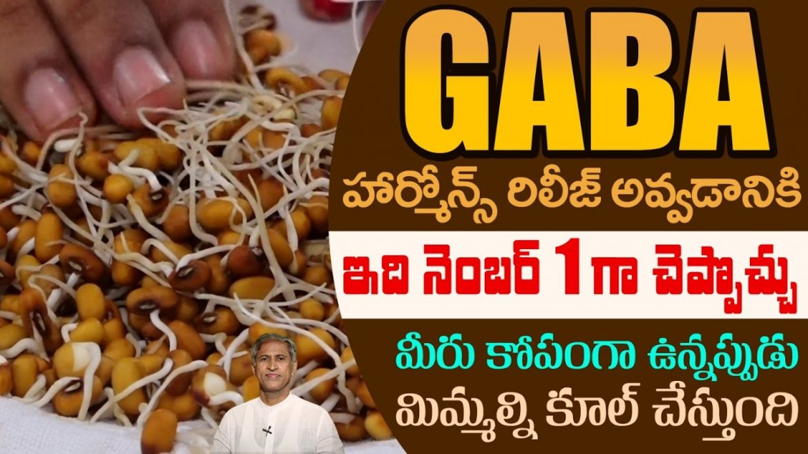 రోజుకో కప్పు ఇలా తింటే మనసు ప్రశాంతంగా ఉంటుంది.