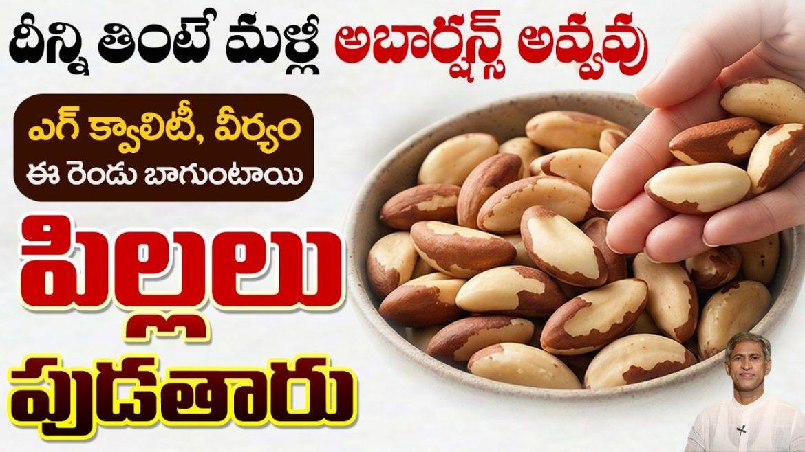Brazil Nuts తో జరిగే మిరాకిల్స్ ఇవే | పిల్లలు లేని వారికి ఇది ఒక వరం.