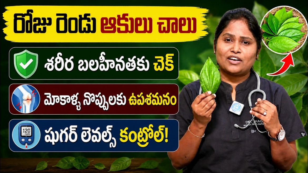 నరాల బలహీనత, మోకాల నొప్పులు, రెస్పిరేటరీ సమస్యలకు సహజ పరిష్కారాలు.