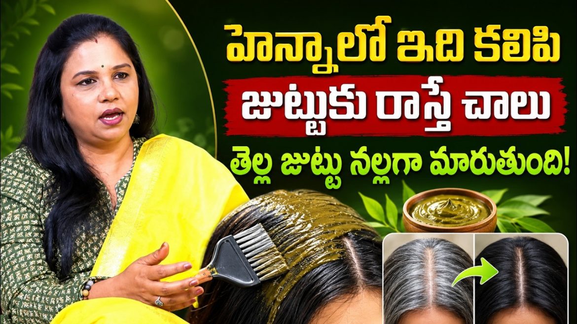 హెయిర్ డైలకు బదులుగా హెన్నా.. తెల్ల జుట్టును సహజంగా నల్లగా మార్చే చిట్కాలు.