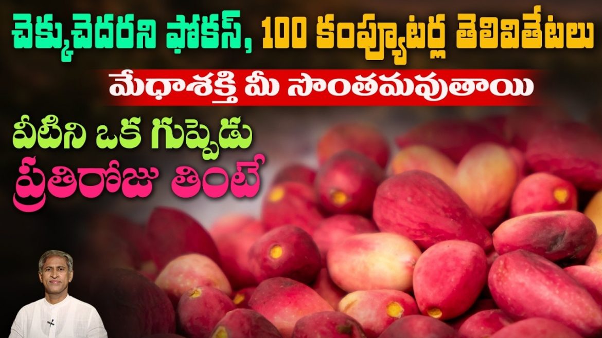 జ్ఞాపకశక్తి, ఏకాగ్రత పెరగాలంటే ఏం చేయాలి? ప్రకృతి వైద్యం చెప్పే సులభమైన జీవనశైలి రహస్యాలు