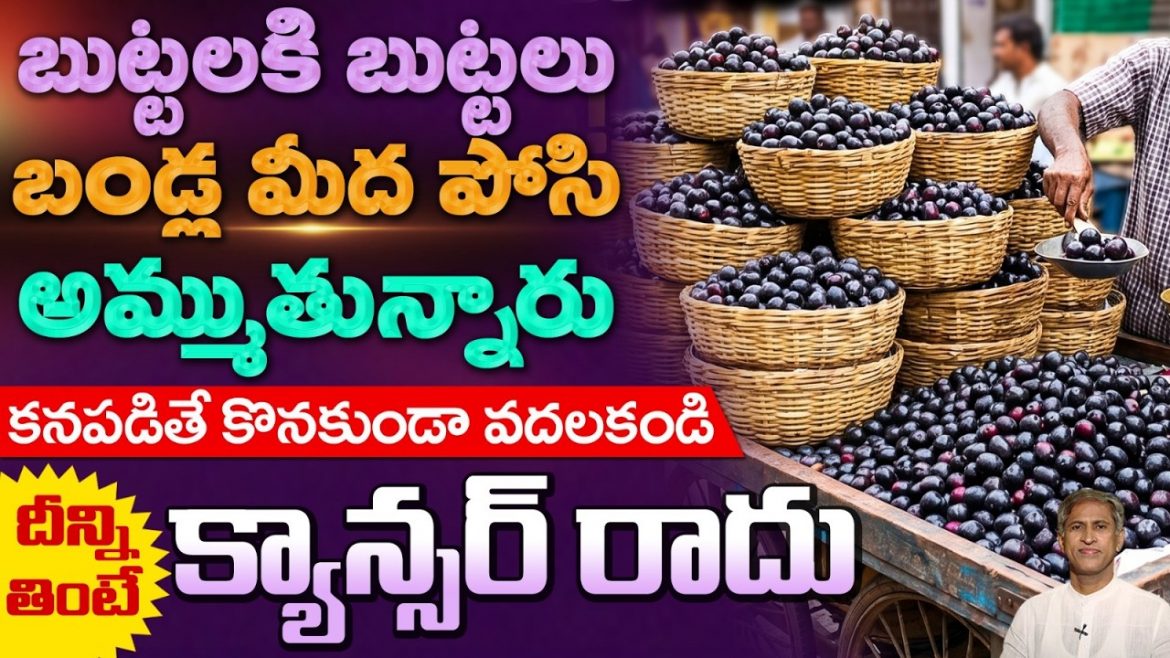 నేరేడు పండు ఆరోగ్య ప్రయోజనాలు: డయాబెటిస్ నుంచి గుండె ఆరోగ్యం వరకు ఏం చెబుతున్నాయి పరిశోధనలు?