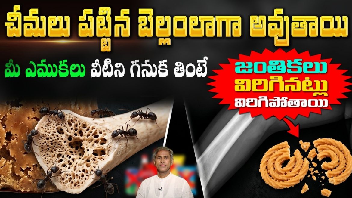 35 ఏళ్లకే ఎముకలు బలహీనమవుతున్నాయా? అల్ట్రా ప్రాసెస్డ్ ఫుడ్స్‌తో ఎంత సంబంధం?